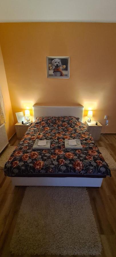 סומבור Ales Apartman מראה חיצוני תמונה